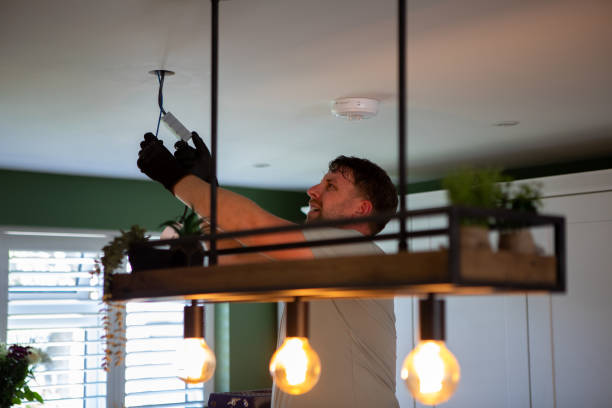 Best Generator Installation Services  in Le Roy, IL