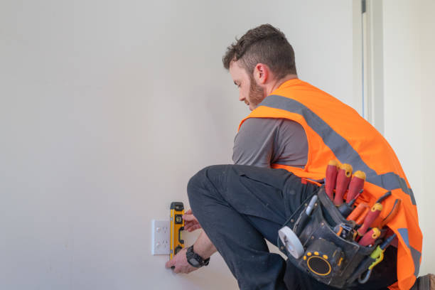 Best Electrical Troubleshooting Services  in Le Roy, IL