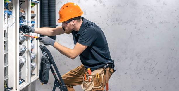 Best Electric Panel Repair  in Le Roy, IL