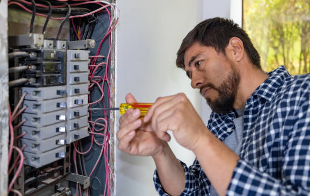 Best Ceiling Fan Installation Electrician  in Le Roy, IL